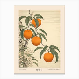 Tachibana Mandarin Orange 2 Vintage Japanese Botanical Poster Canvas Print