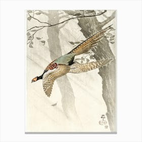 Flying Pheasant (1900 1910), Ohara Koson Canvas Print