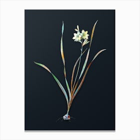 Vintage Gladiolus Lineatus Botanical Watercolor Illustration on Dark Teal Blue n.0146 Canvas Print