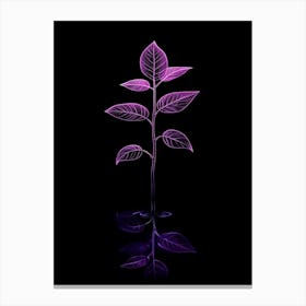 Purple Leaf On Black Background Canvas Print