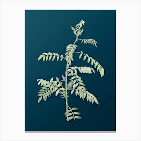 Vintage Flowering Indigo Plant Botanical Art on Teal Blue n.0437 Canvas Print