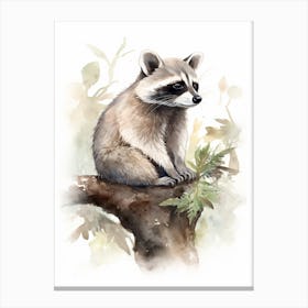 A Chiriqui Raccoon Watercolour Illustration Storybook 3 Canvas Print