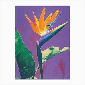 Bird Of Paradise 53 Canvas Print