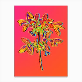 Neon Honeyberry Flower Botanical in Hot Pink and Electric Blue n.0293 Canvas Print
