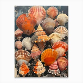 Sea Shells Canvas Print