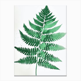 Green Ink Painting Of A Cinnamon Fern 2 Canvas Print