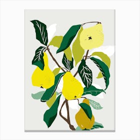 Yellow Pears Canvas Print