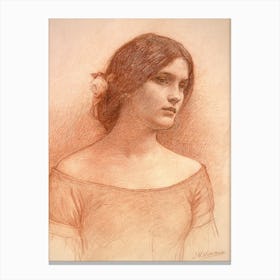 Study For The Lady Clare C1900 Canvas Print