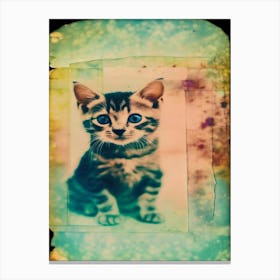 Kitten Polaroid Canvas Print