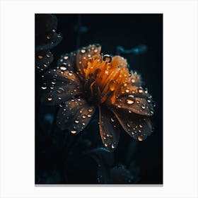 Raindrops On A Flower 1 Canvas Print