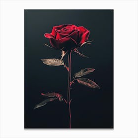 Rose On A Black Background 11 Canvas Print