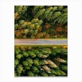Aerial View Of A Forest Road Canvas Print