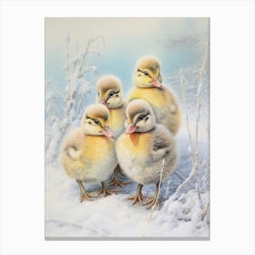 Icy Ducklings In The Snow Pencil Illustration 3 Canvas Print