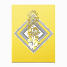 Botanical Cuspidate Rose in Gray and Yellow Gradient n.040 Canvas Print
