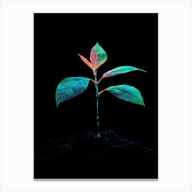 Neon Plant 25 Canvas Print