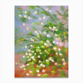String Of Pearls Impressionist Painting Plant Canvas Print