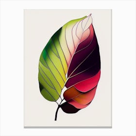 Rhododendron Leaf Abstract 2 Canvas Print