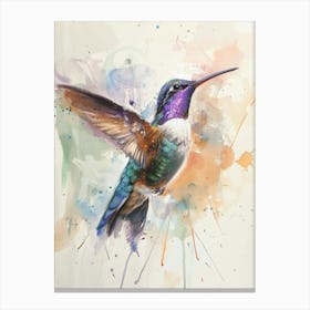 Hummingbird Pastel Watercolour 1 Canvas Print