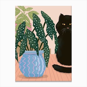 Begonia, Black Cat And Blue Plant Pot Canvas Print