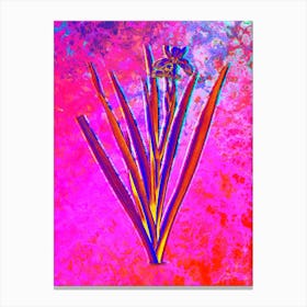 Stinking Iris Botanical in Acid Neon Pink Green and Blue n.0237 Canvas Print