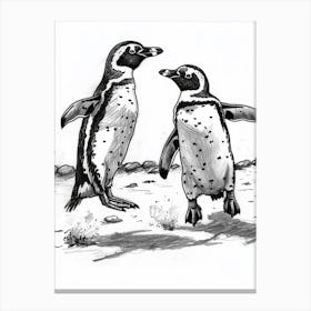 African Penguin Chasing Each Other 2 Canvas Print