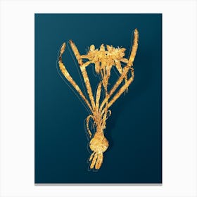 Vintage Sea Daffodil Botanical in Gold on Teal Blue n.0317 Canvas Print