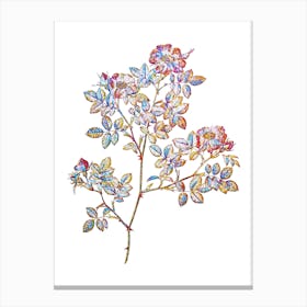 Stained Glass Rose Corymb Mosaic Botanical Illustration on White Canvas Print