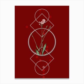 Vintage Gladiolus Junceus Botanical with Geometric Line Motif and Dot Pattern n.0279 Canvas Print