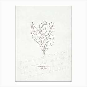 Iris Birth Flower | Antique Canvas Print