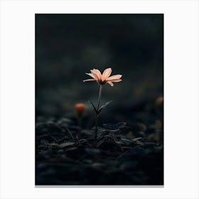 Flower In The Dark 6 Canvas Print