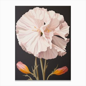 Flower Illustration Carnation Dianthus 5 Canvas Print
