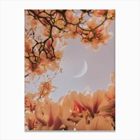 Selene Canvas Print