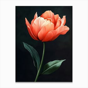 Tulip 2 Canvas Print