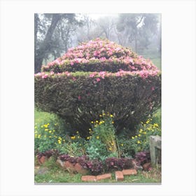 Floral Garden in Kodaikanal, India. Photograph 28 Canvas Print