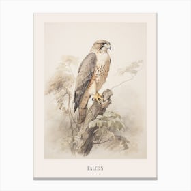 Vintage Bird Drawing Falcon 1 Poster Canvas Print