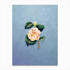 Vintage Gray's Camellia Botanical Art on Summer Song Blue n.0662 Canvas Print