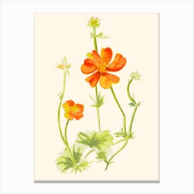 Orange Daisy Flower Painting Canvas Print