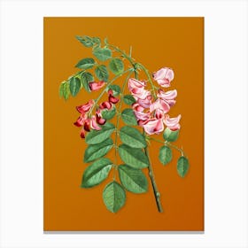 Vintage Robinier Rose Bloom Botanical on Sunset Orange n.0542 Canvas Print
