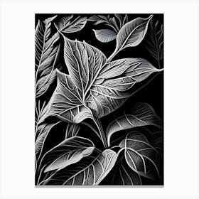 Tea Leaf Linocut 1 Canvas Print