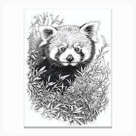 Red Panda Hiding In Bushes Ink Illustration 1 Canvas Print