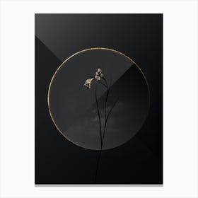 Shadowy Vintage Blue Pipe Botanical on Black with Gold n.0151 Canvas Print