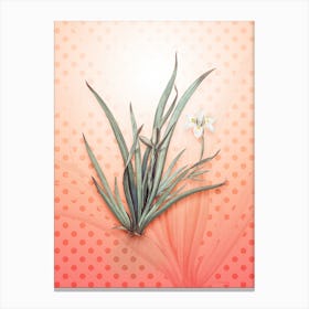 Fortnight Lily Vintage Botanical in Peach Fuzz Polka Dot Pattern n.0034 Canvas Print