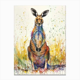 Kangaroo Colourful Watercolour 4 Canvas Print