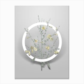 Vintage Yellow Broom Flowers Minimalist Botanical Geometric Circle on Soft Gray n.0052 Canvas Print