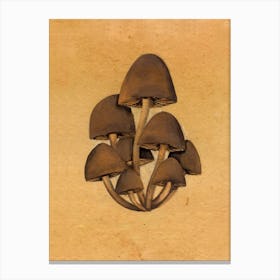 Beech Mushrooms Nature Canvas Print