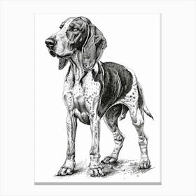 English Foxhound Dog Line Sketch 3 Canvas Print