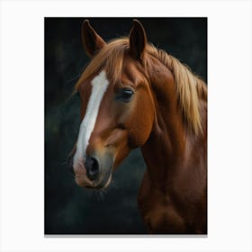 Horse With  Canvas Print