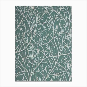 White Willow 2 tree Vintage Botanical Canvas Print