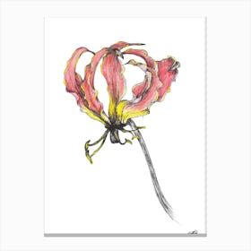 Watercolour Flame Lilly 2 Canvas Print