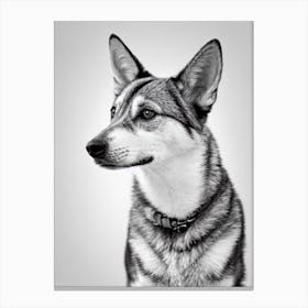 Swedish Vallhund B&W Pencil dog Canvas Print